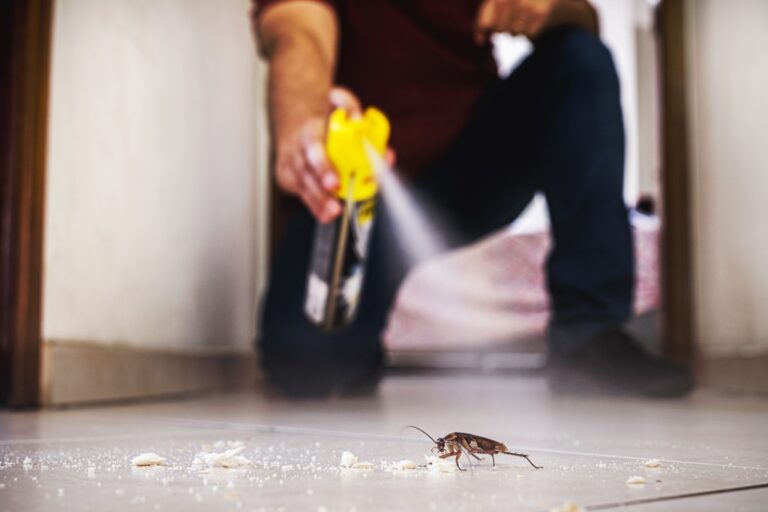 Does Bed Bug Spray Kill Cockroaches? Pest Control