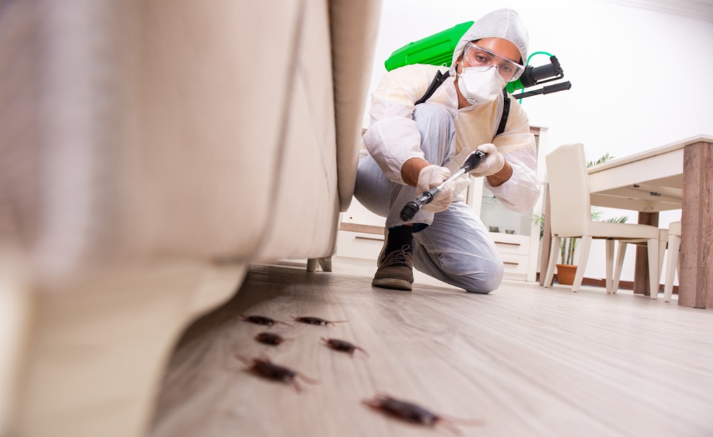 Clear a Vacant Apartment of Pests